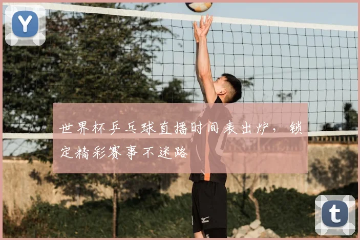 世界杯乒乓球直播时间表出炉,锁定精彩赛事不迷路